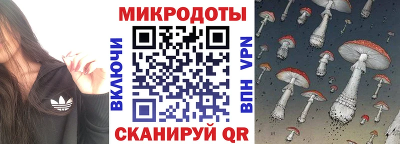 как найти закладки Холмск гидра ТОР Галлюциногенные грибы прущие грибы